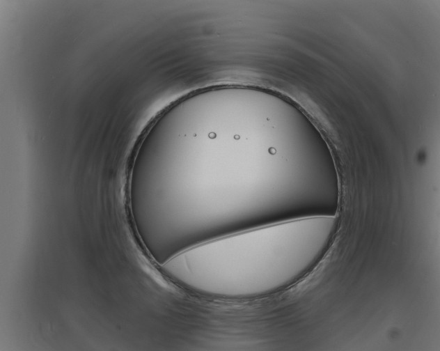 X0000097670846200802290944