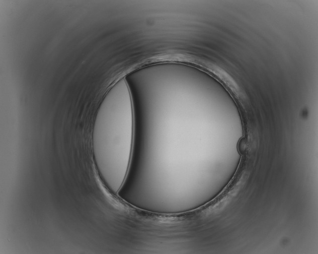 X0000097670849200802290944