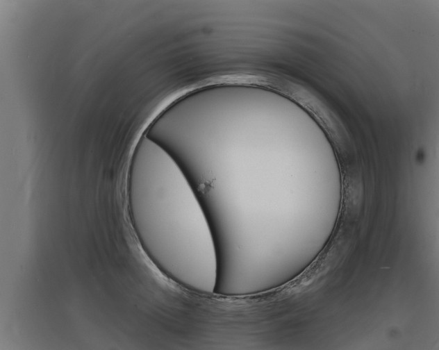 X0000097670852200802290944