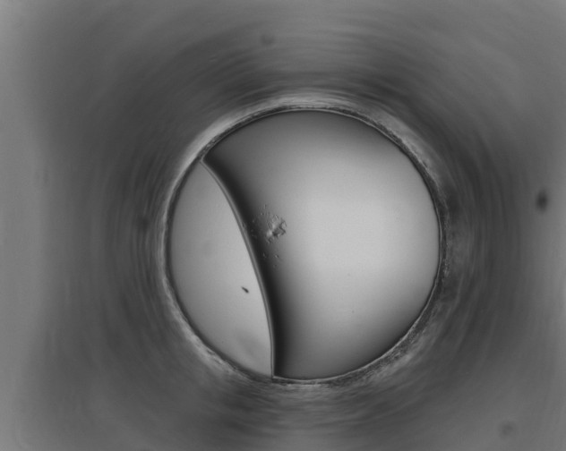 X0000097670853200802290944