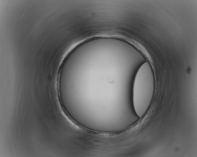 X0000097670855200802290944