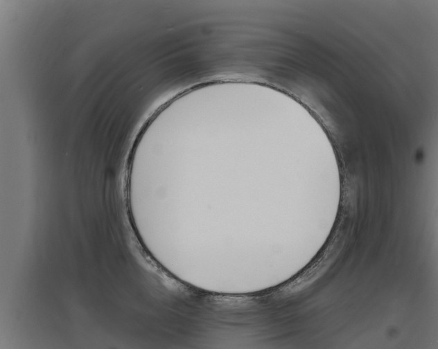 X0000097670856200802290944