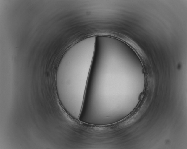 X0000097670857200802290944