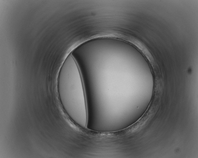 X0000097670858200802290944