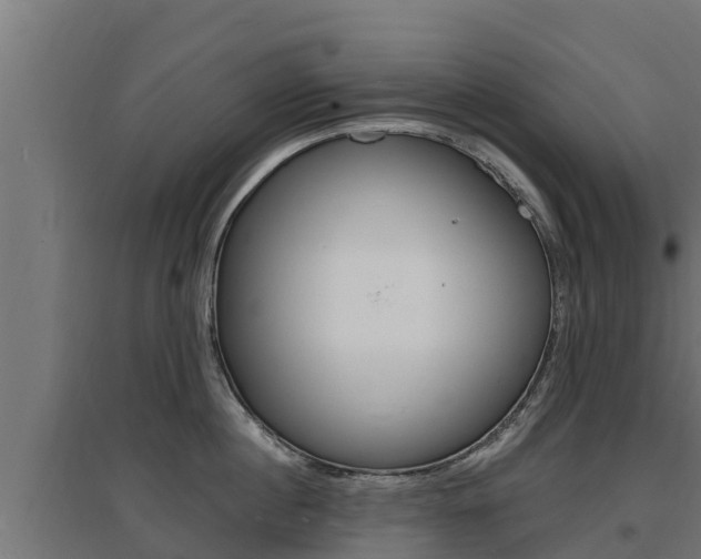 X0000097670860200802290944