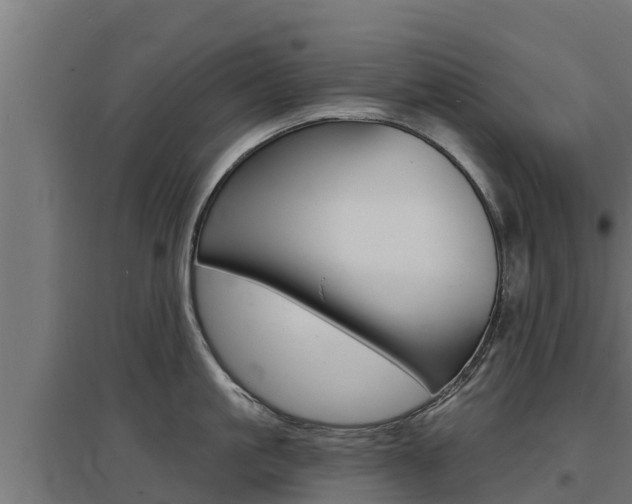 X0000097670861200802290944