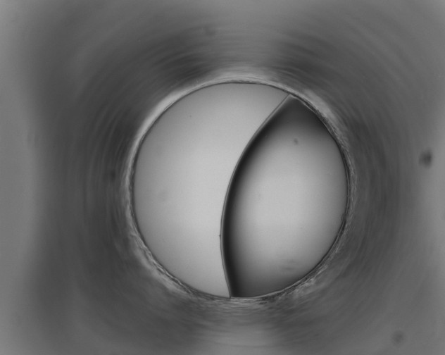X0000097670864200802290944
