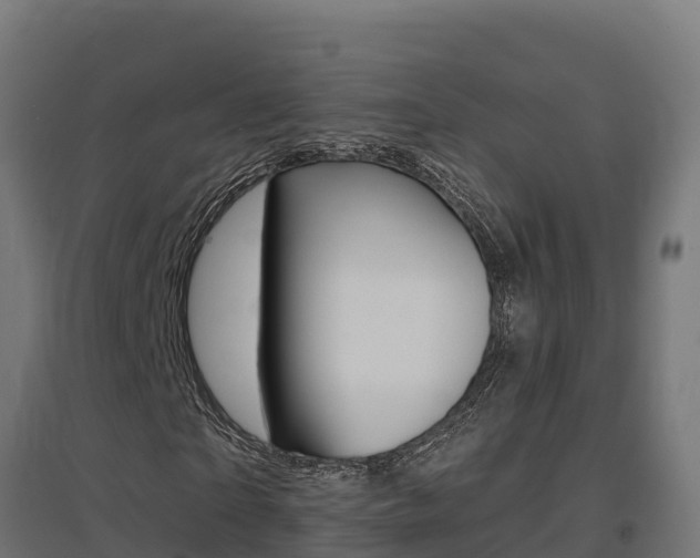 X0000097670865200802290943