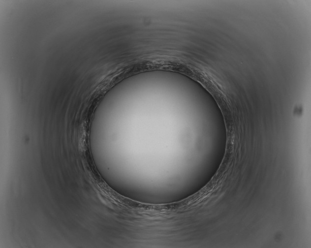 X0000097670868200802290943