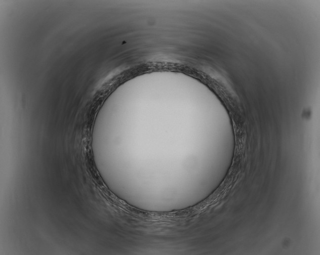 X0000097670870200802290943