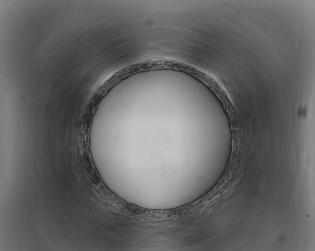 X0000097670871200802290943