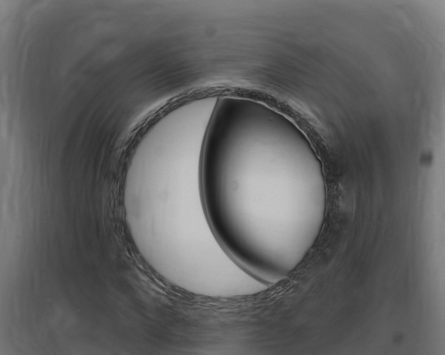X0000097670872200802290943