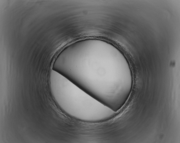 X0000097670873200802290943