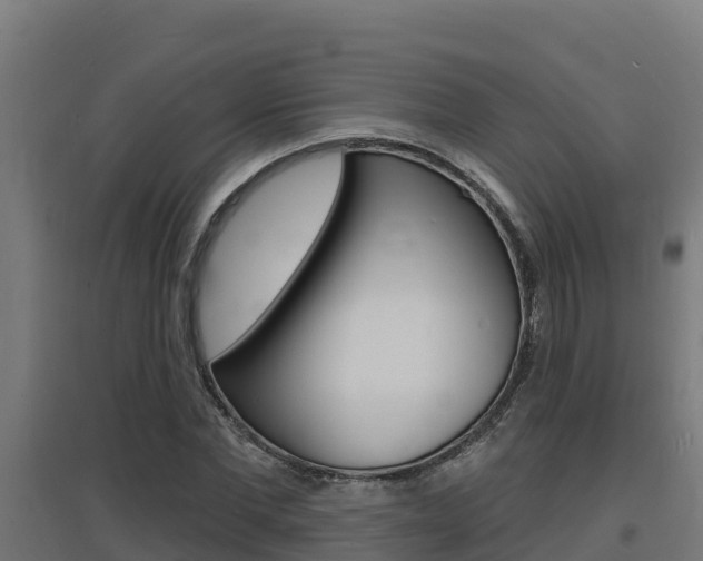 X0000097670877200802290943