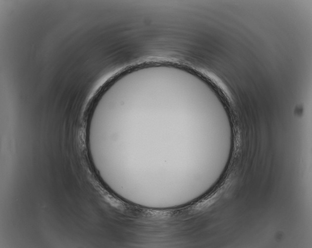 X0000097670878200802290943