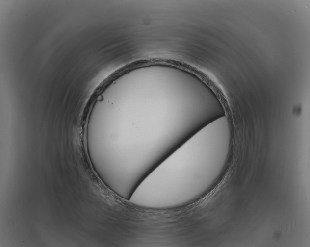 X0000097670879200802290943