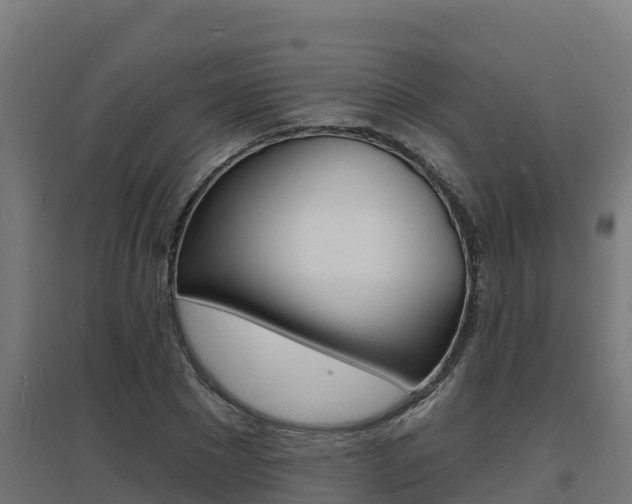 X0000097670881200802290943