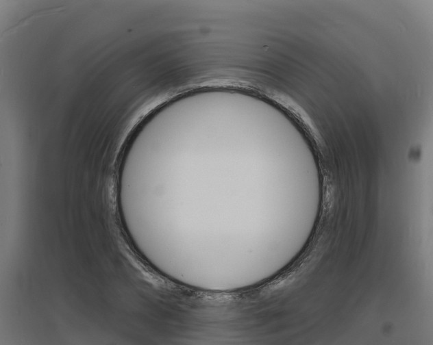 X0000097670882200802290943