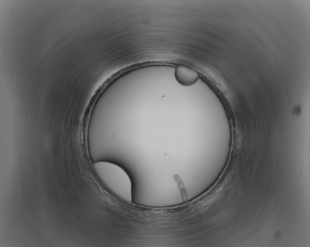 X0000097670883200802290943