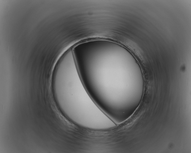 X0000097670884200802290943