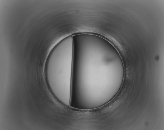 X0000097670885200802290943