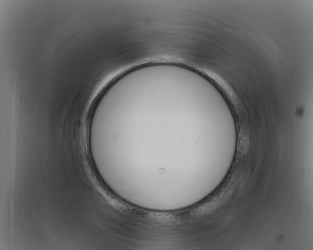 X0000097670886200802290943