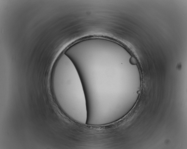 X0000097670887200802290943