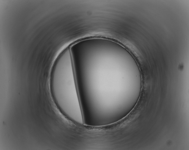 X0000097670888200802290943