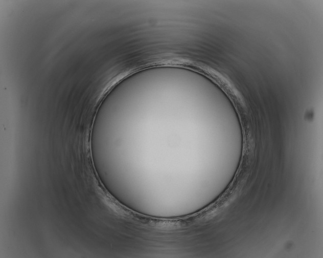 X0000097670889200802290943