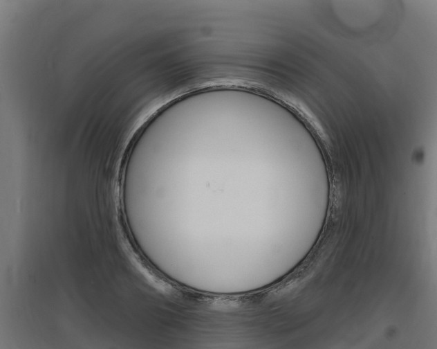 X0000097670890200802290943