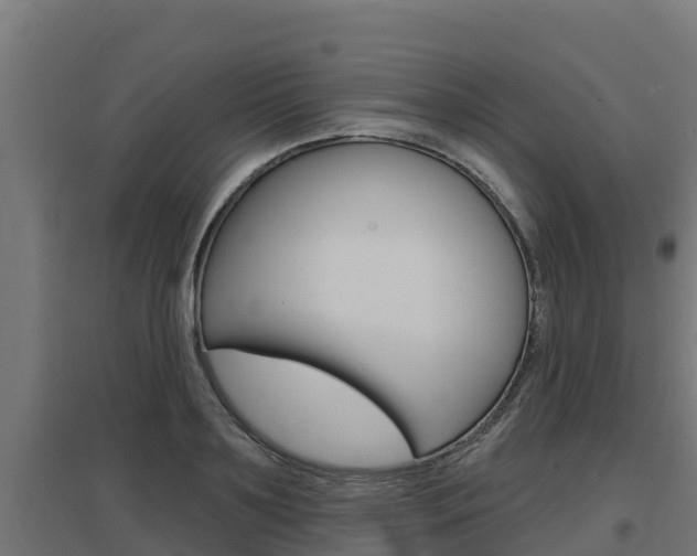 X0000097670891200802290943