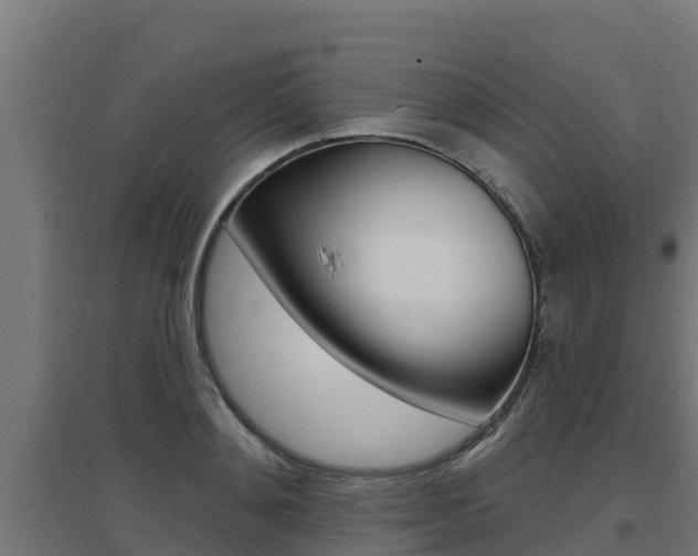 X0000097670892200802290943