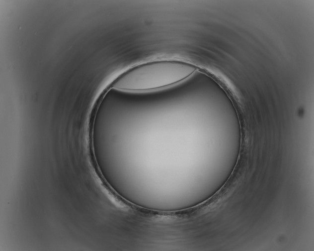 X0000097670894200802290943