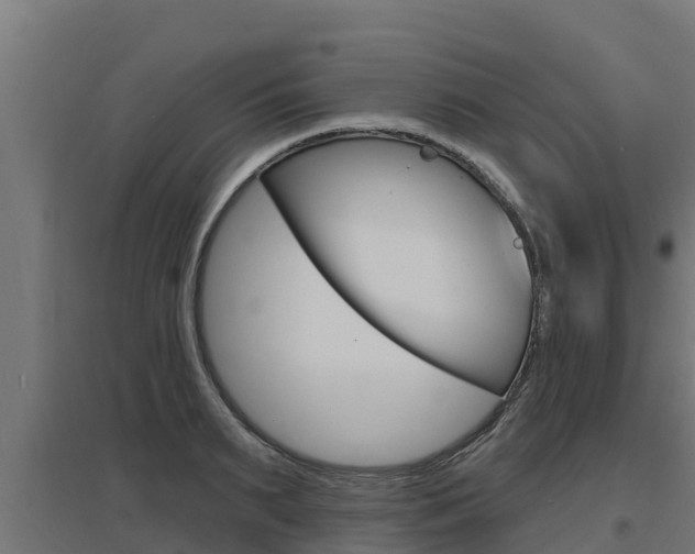 X0000097670895200802290943
