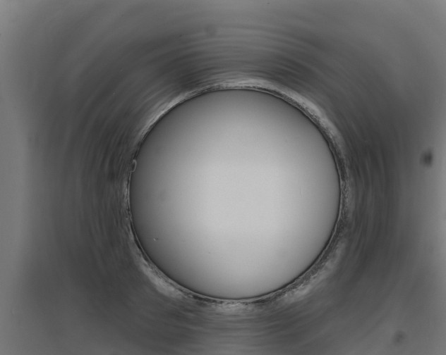 X0000097670897200802290943