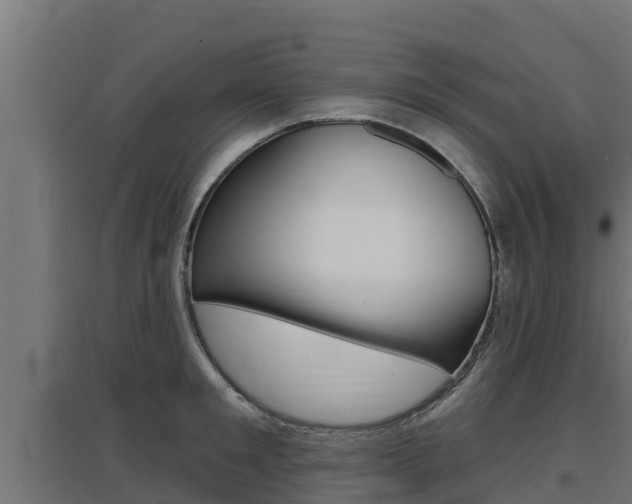 X0000097670901200802290943