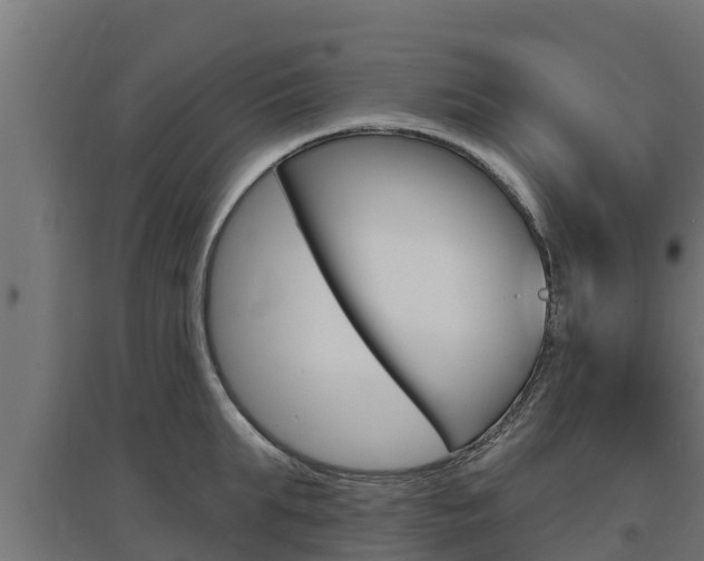X0000097670903200802290943
