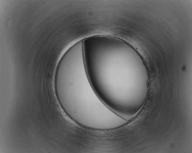 X0000097670904200802290943