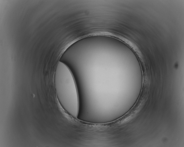 X0000097670905200802290943