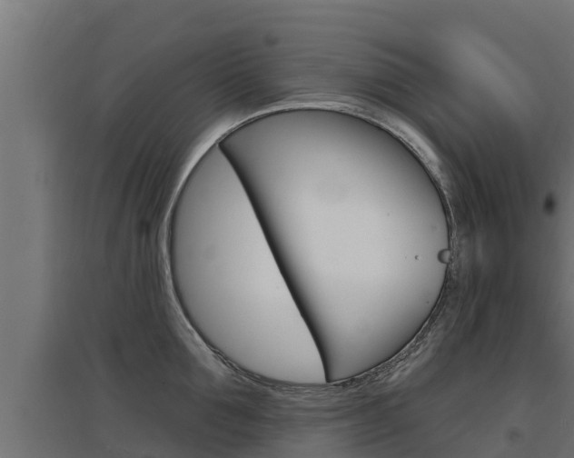 X0000097670907200802290943