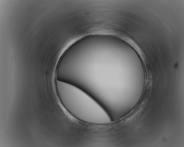 X0000097670909200802290942