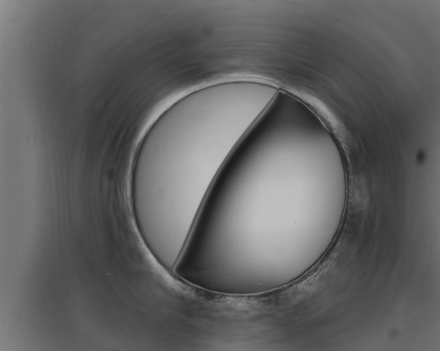 X0000097670910200802290942