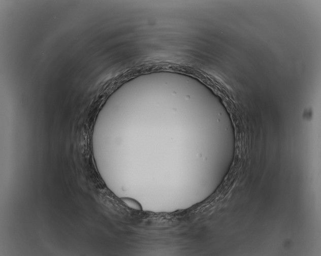 X0000097670917200802290942