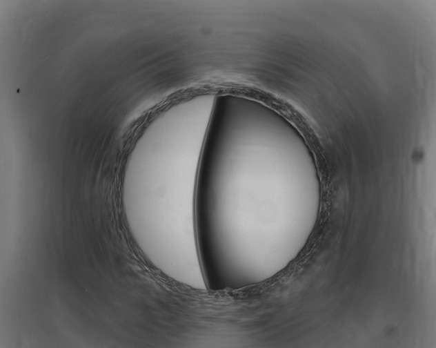 X0000097670919200802290942
