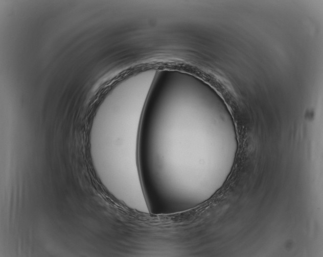 X0000097670920200802290942