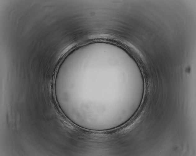 X0000097670921200802290942