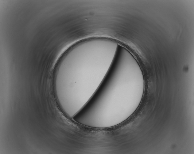 X0000097670926200802290942