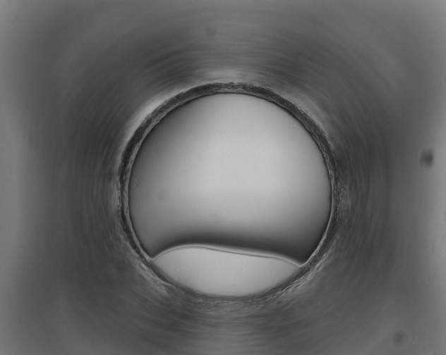 X0000097670927200802290942