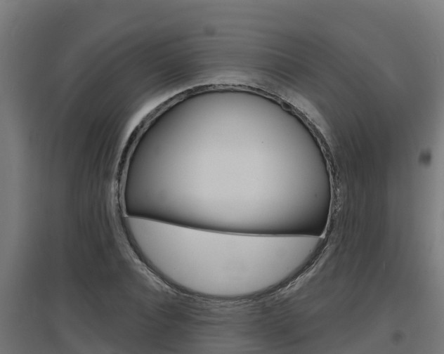 X0000097670928200802290942