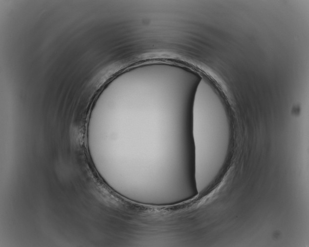 X0000097670929200802290942